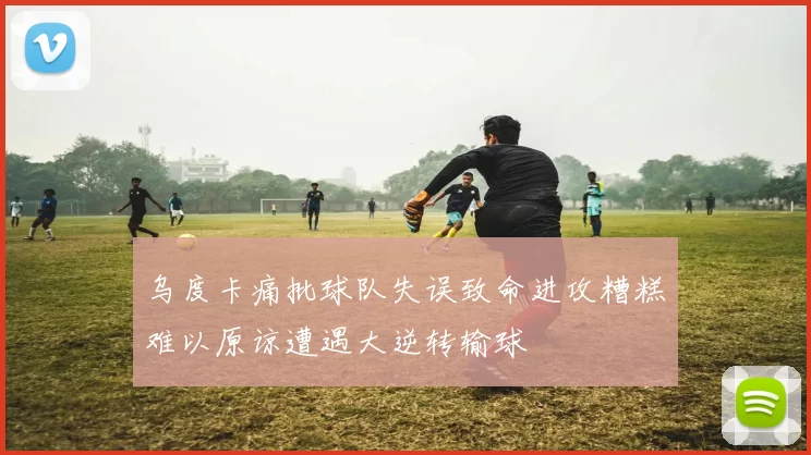乌度卡痛批球队失误致命进攻糟糕难以原谅遭遇大逆转输球