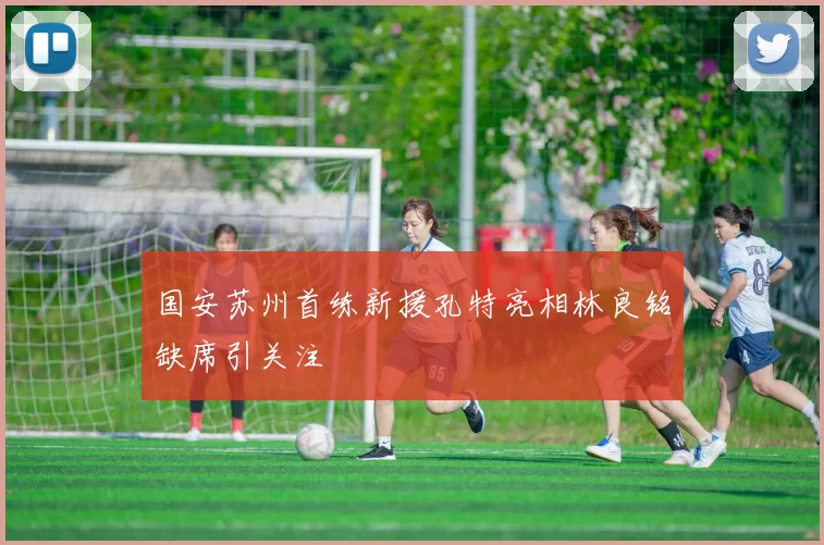 国安苏州首练新援孔特亮相林良铭缺席引关注