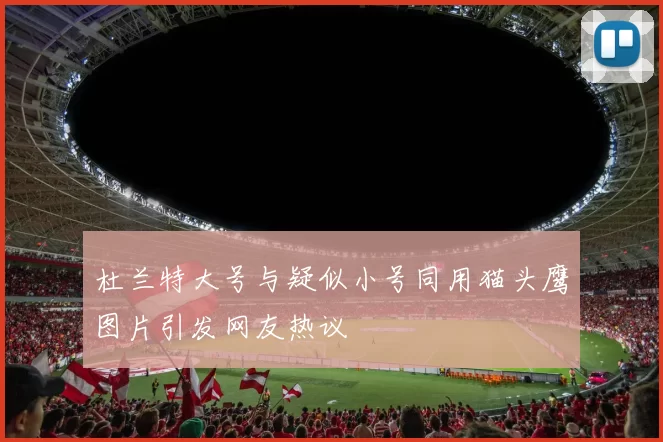 杜兰特大号与疑似小号同用猫头鹰图片引发网友热议